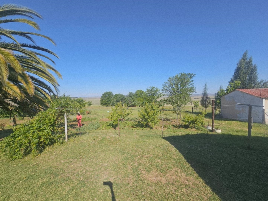 17 Bedroom Property for Sale in Ladybrand Free State